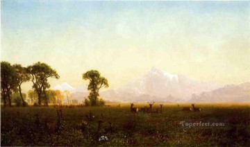 ciervos Arte - Ciervos pastando Grand Tetons Wyoming Albert Bierstadt